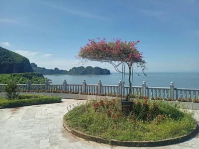 catba island hostel – Photos 11